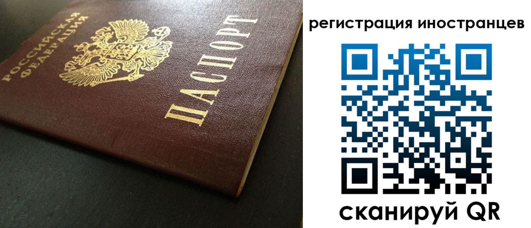 пропишу в квартире в Краснодаре